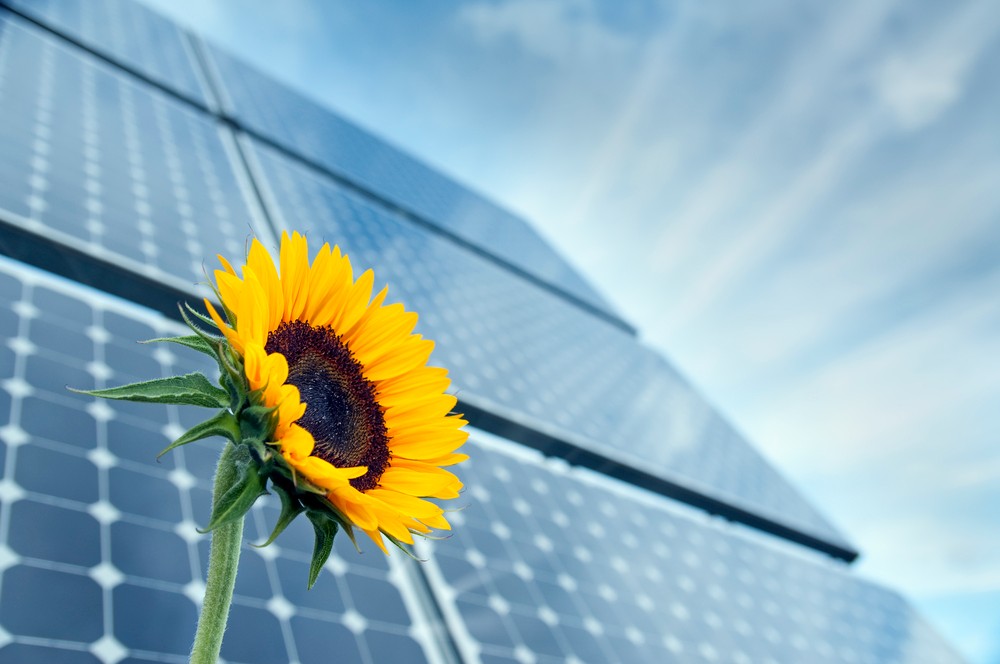 Solar company Dallas